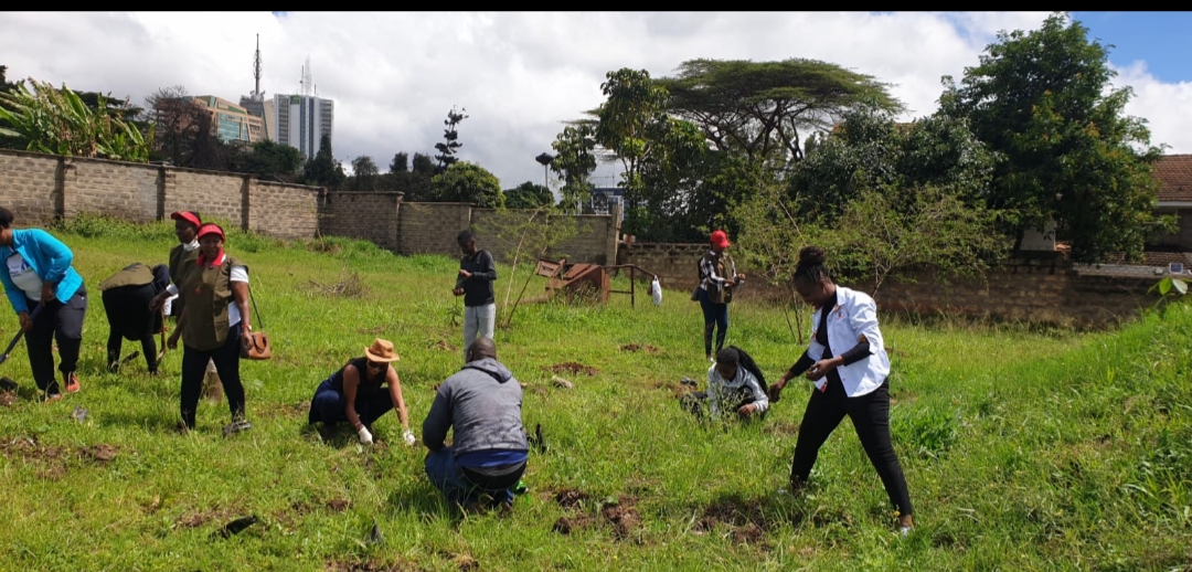 KAWT activities